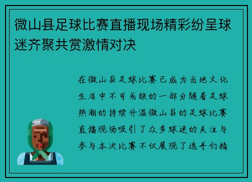 微山县足球比赛直播现场精彩纷呈球迷齐聚共赏激情对决